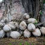 4999元现金大奖开奖倒计时,幸运得主即将揭晓 87u1e1o5