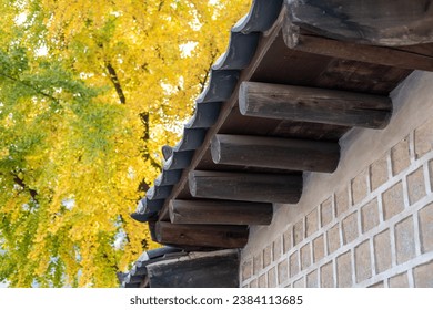 49555开奖结果最新公布，速看本期幸运号码！