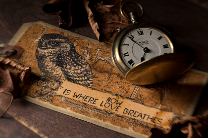 深入了解大红鹰娱乐的用户评价与真实体验分享