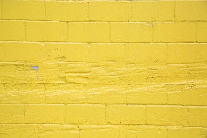 深入了解圣安娜平台的功能与应用场景