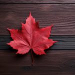 360直播体育无插件高清流畅在线观看 qte2lrlze6