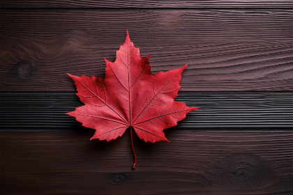 360直播体育无插件高清流畅在线观看