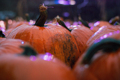 深入了解巴比伦平台的用户体验与界面设计