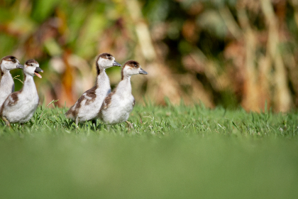 JRS体育直播:畅享高清流畅的赛事直播体验 JRS体育直播:畅享高清流畅的赛事直播体验
