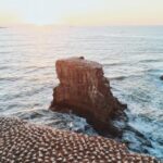 i五开奖结果三开奖结果查询结果最新公布 v496ldkd